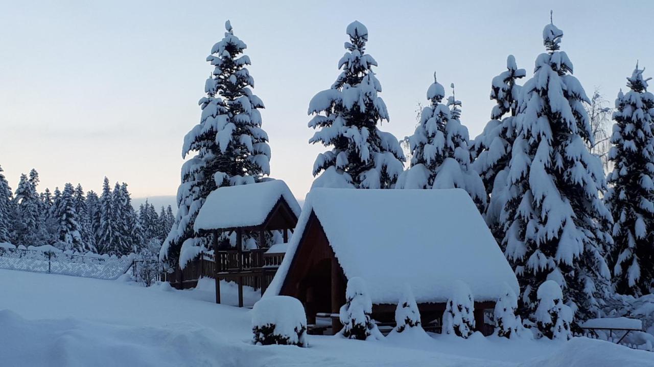 Horská chata Z Kominkiem Pod Limba Zakopane